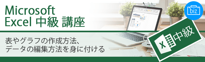 Microsoft Excel 中級