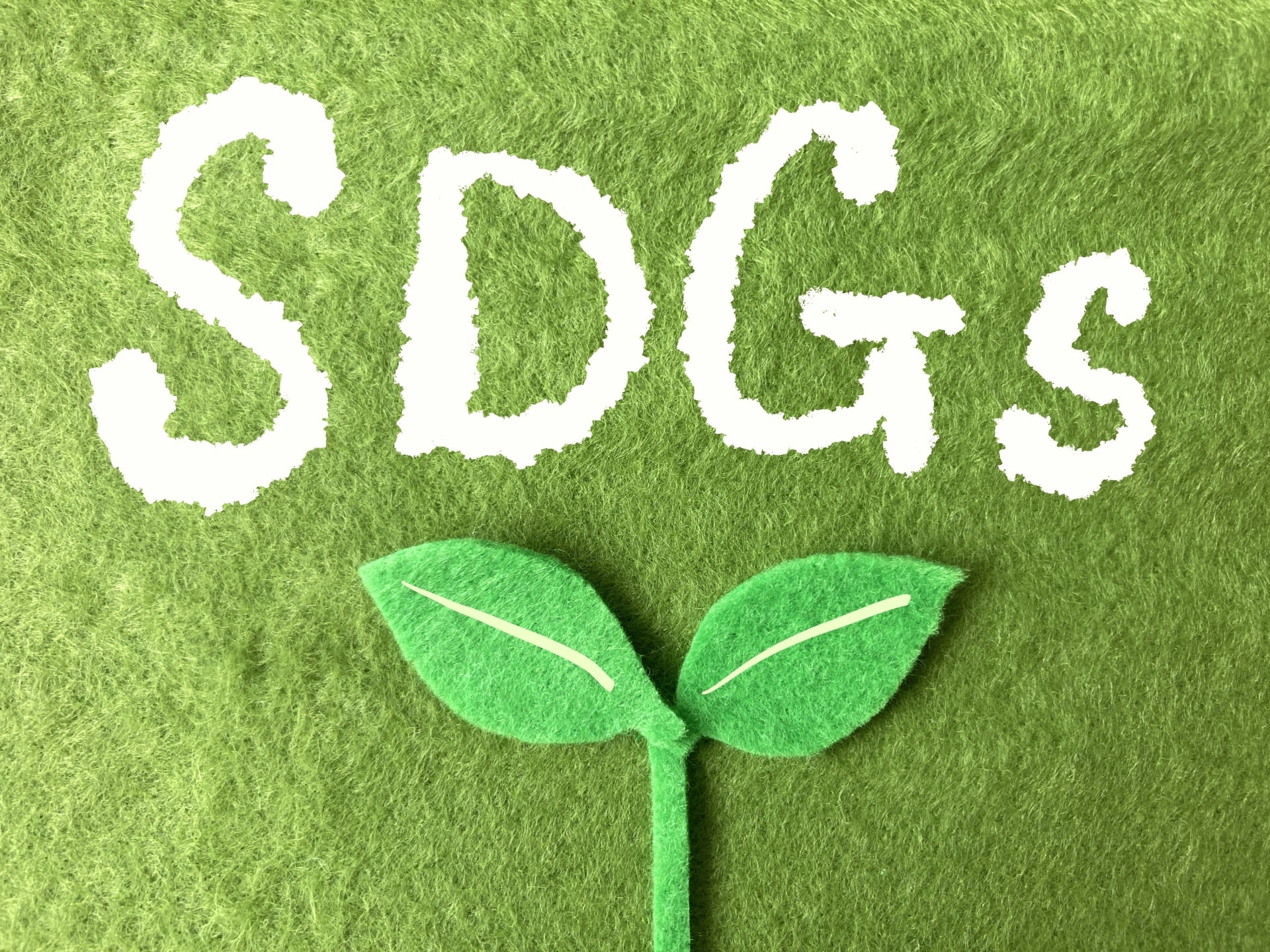 SDGs
