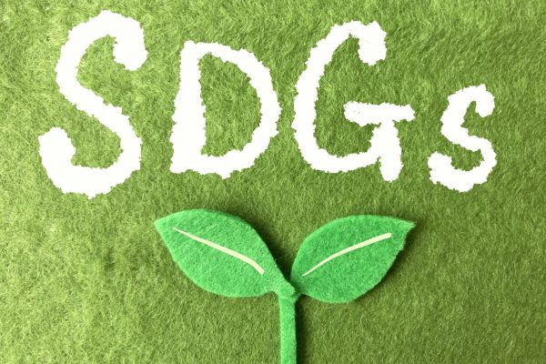 SDGsとは？小学生向けに意味や課題、今できる取り組みをわかりやすく解説